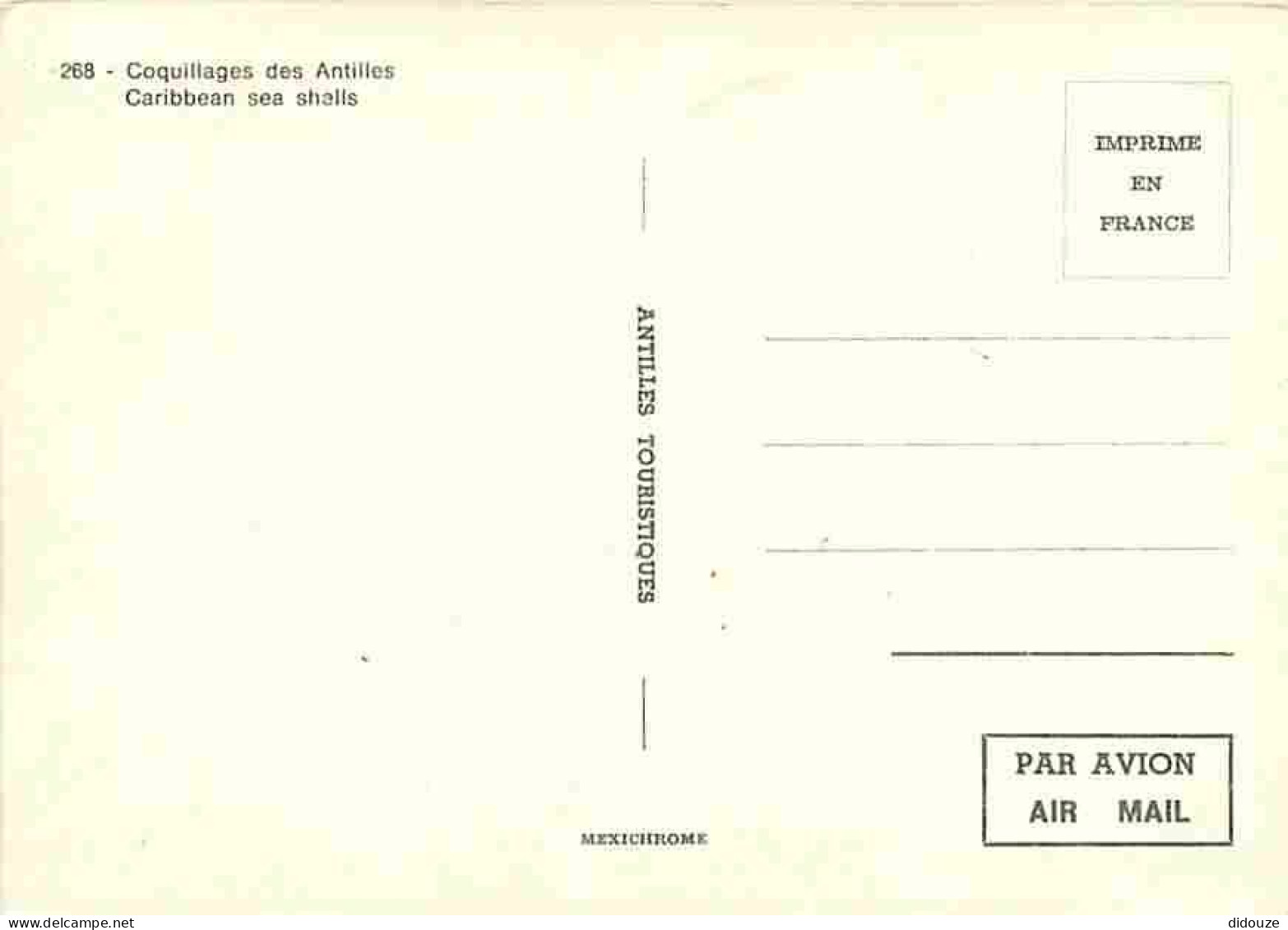 Antilles - Coquillages Des Antilles - Carte Neuve - CPM - Voir Scans Recto-Verso - Otros & Sin Clasificación