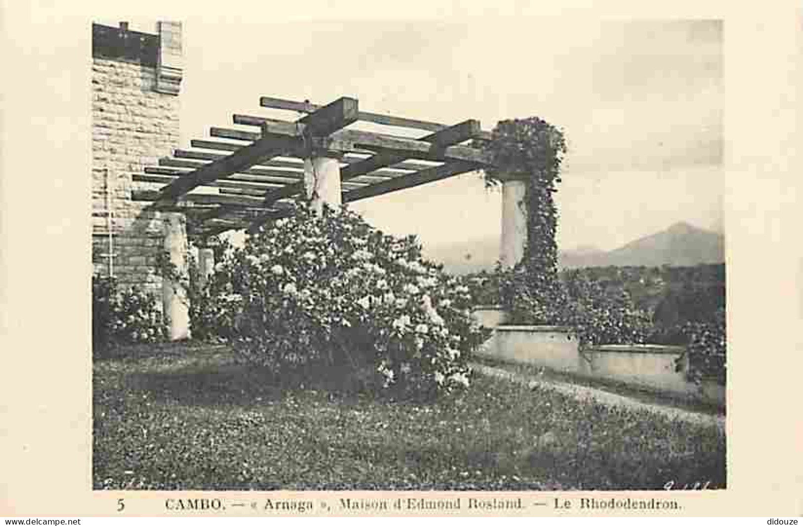64 - Cambo Les Bains - Arnaga - Maison D'Edmond Rostand - Le Rhododendron - Carte Neuve - CPA - Voir Scans Recto-Verso - Cambo-les-Bains