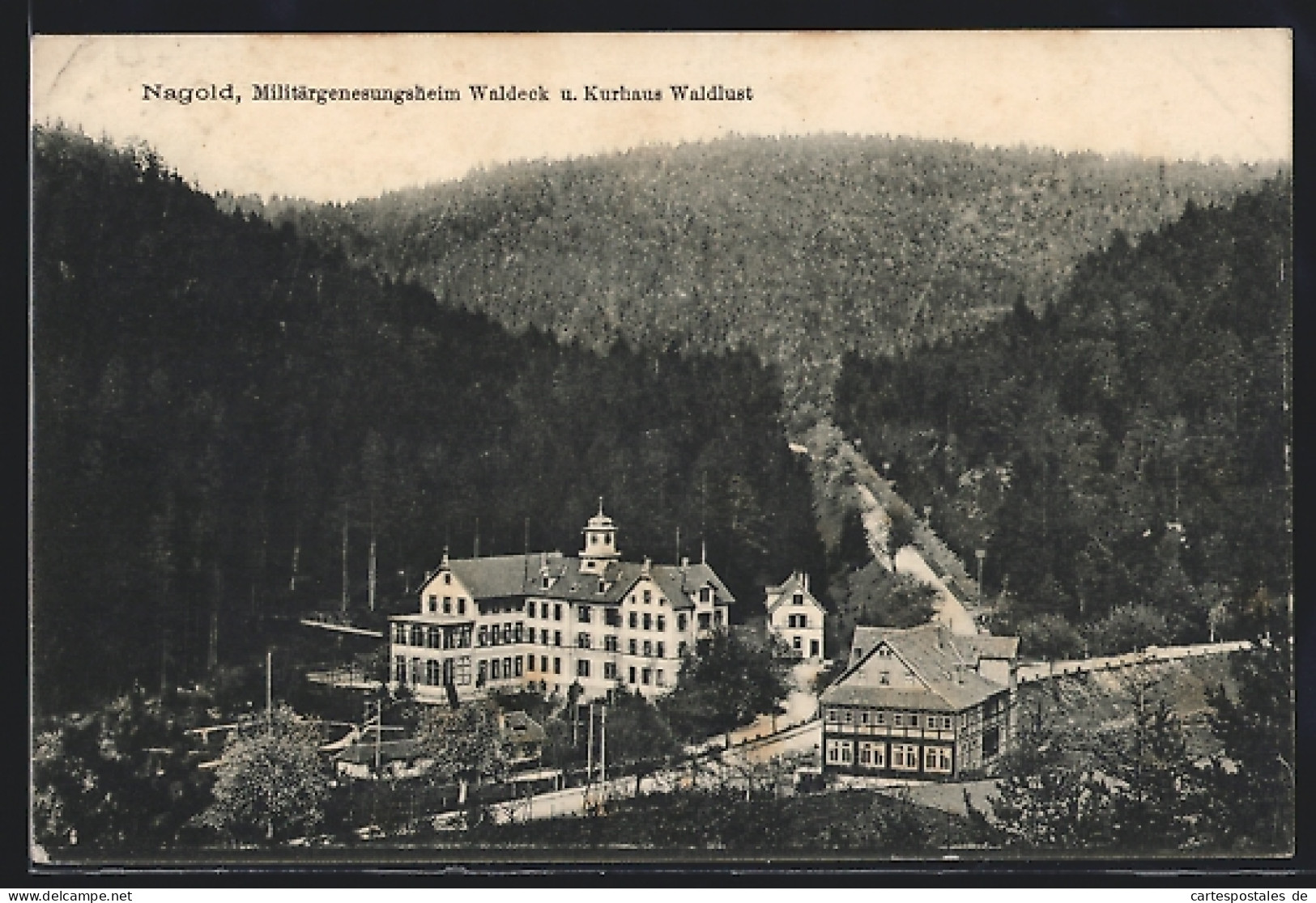 AK Nagold, Militärgenesungsheim Waldeck Und Kurhaus Waldlust  - Nagold