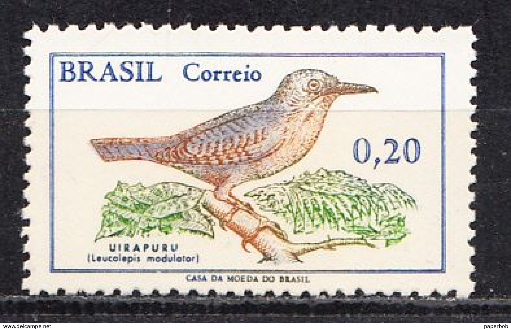 BIRD - BRAZIL - Pájaros Cantores (Passeri)