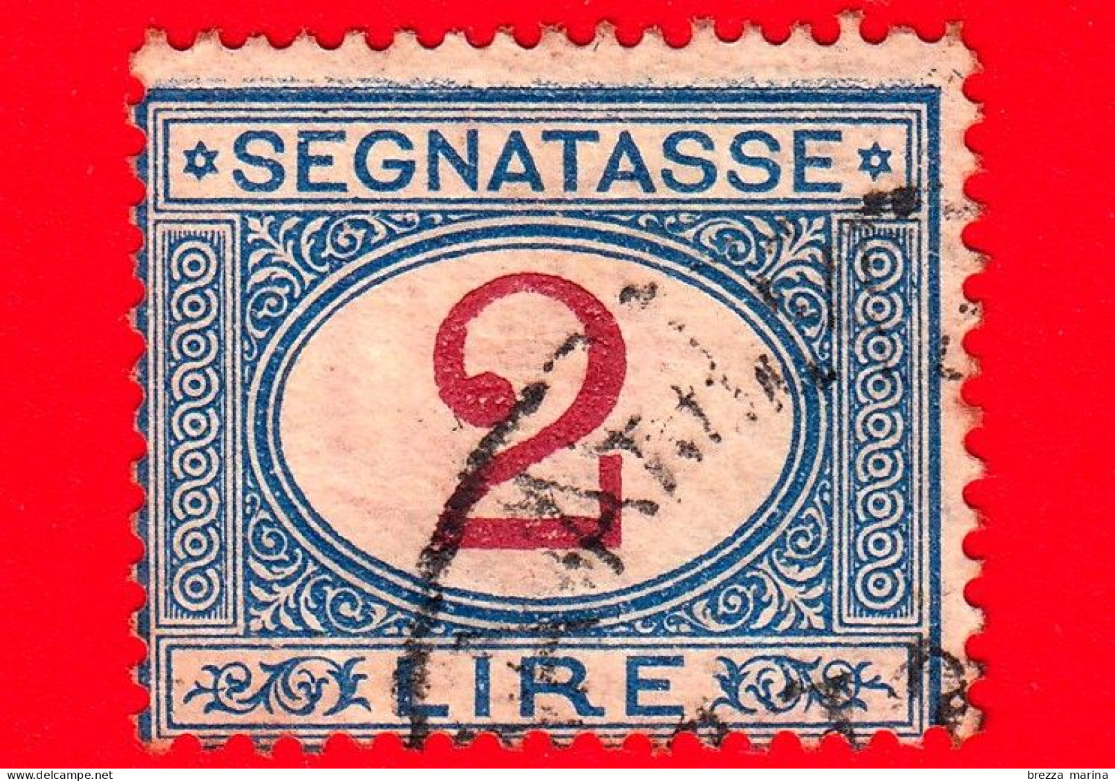 REGNO D'ITALIA - Usato - 1903 - Segnatasse - 2 L. • Cifra Entro Un Ovale • Azzurro E Rosso - Segnatasse