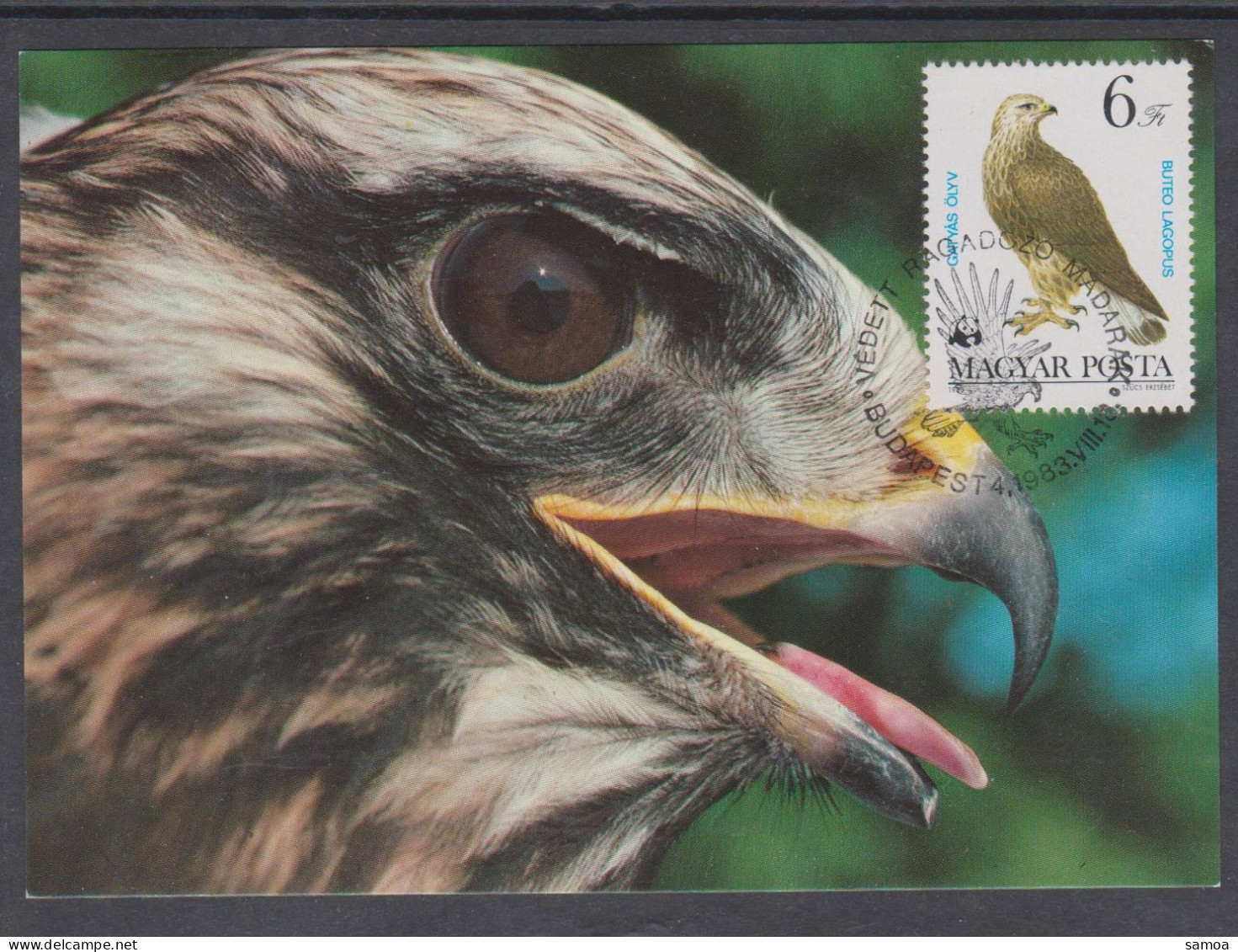 Hongrie CM 1983 2869 Rapaces Oiseaux Buse Pattue - Tarjetas – Máximo