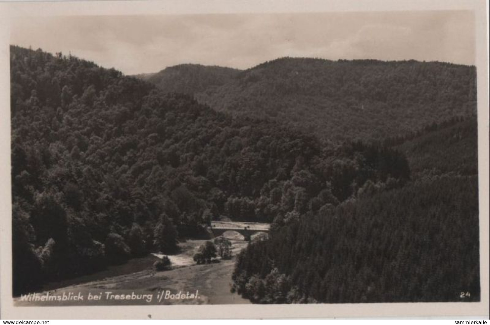 84208 - Treseburg - Wilhelmsblick - Ca. 1955 - Thale
