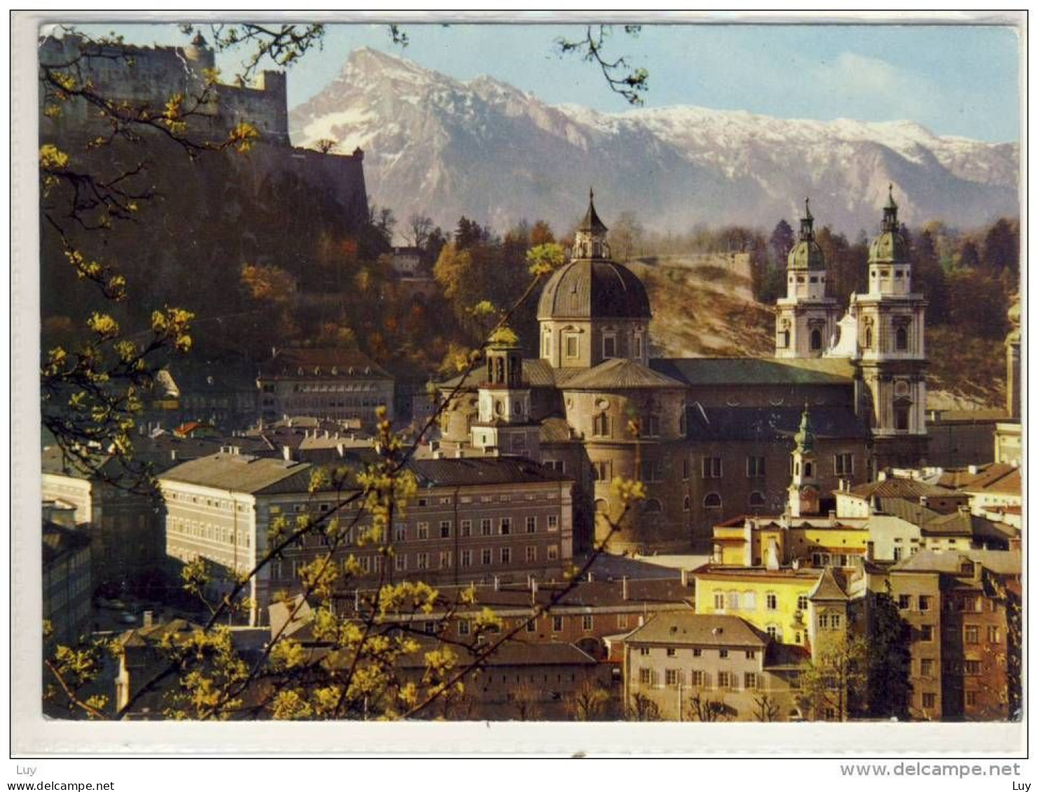 Festspielstadt SALZBURG - Blick Auf Dom, Festung Und Untersberg - Salzburg Stadt