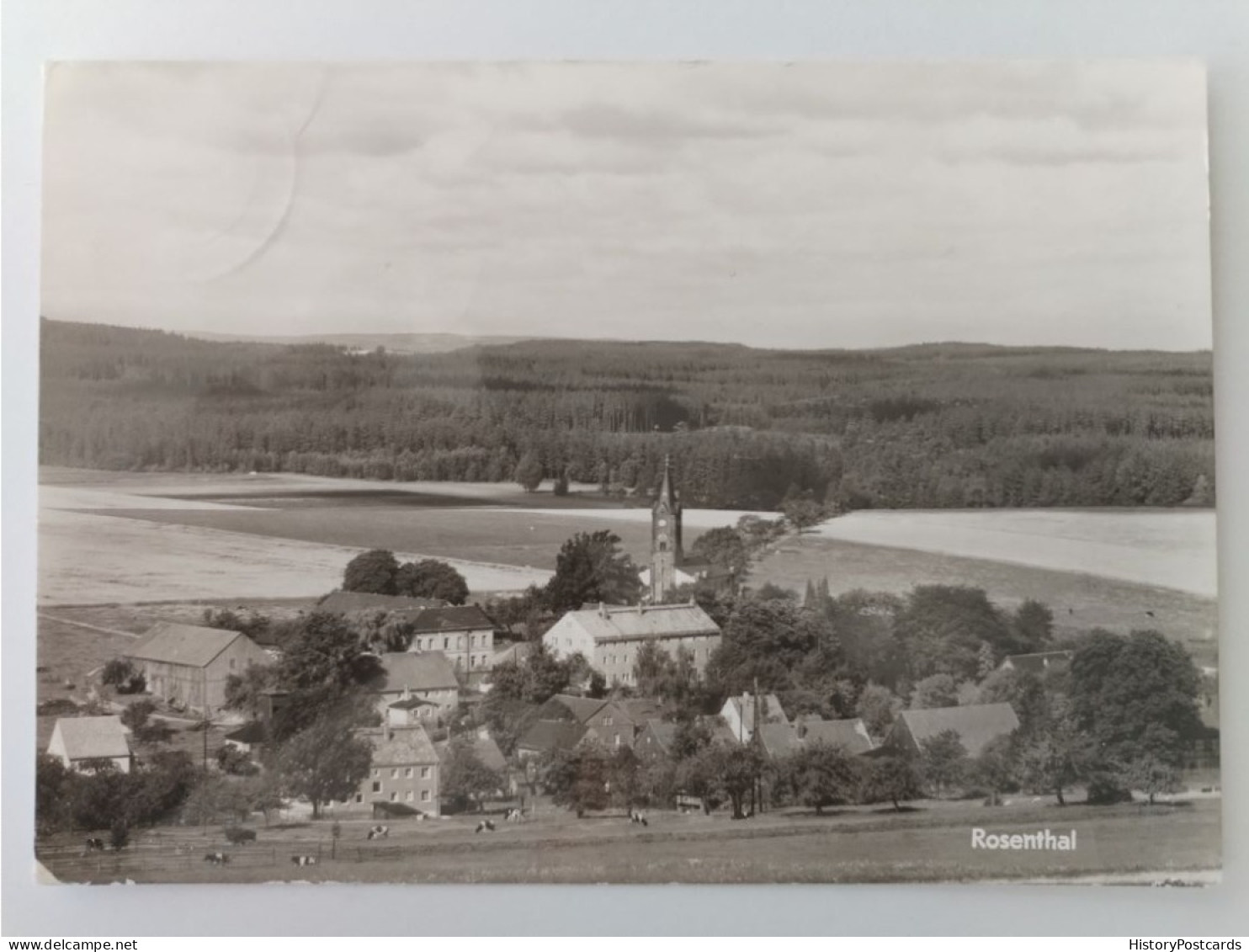 Rosenthal In Sachsen, Gesamtansicht, DDR, 1984 - Pirna