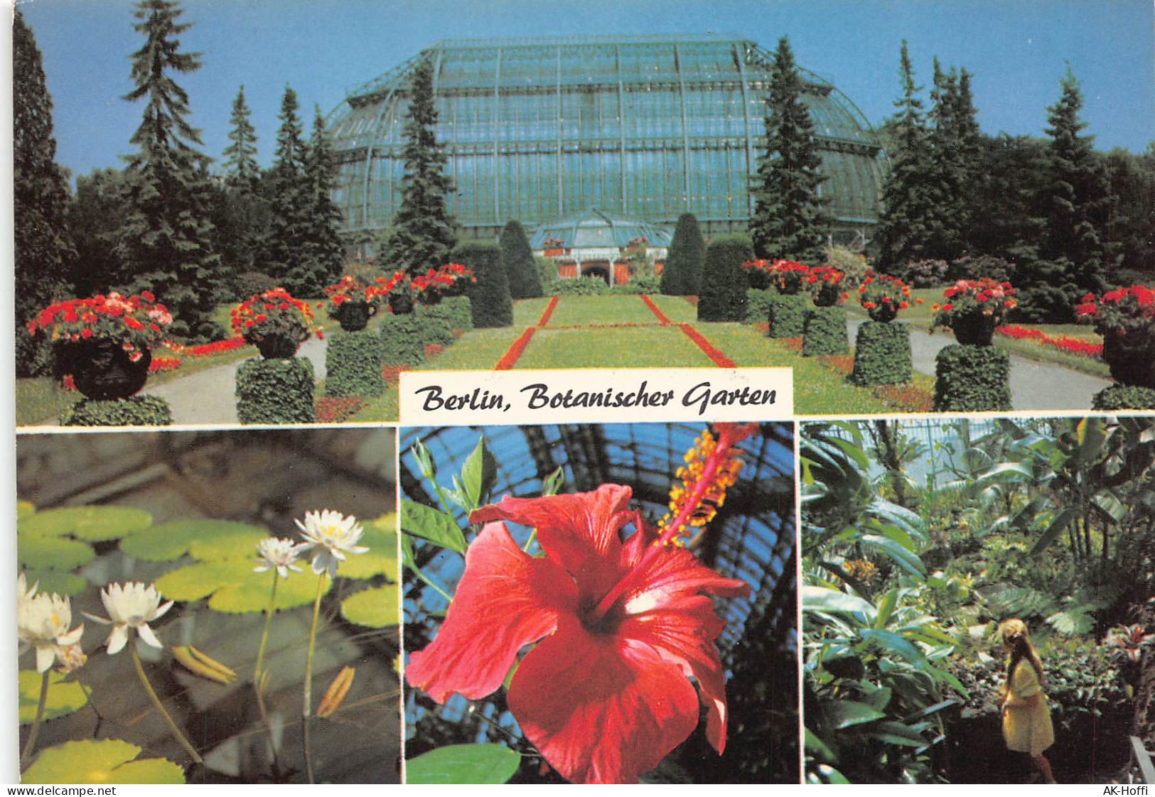 Berlin - Mehrbildkarte - Botanischer Garten - Lichterfelde