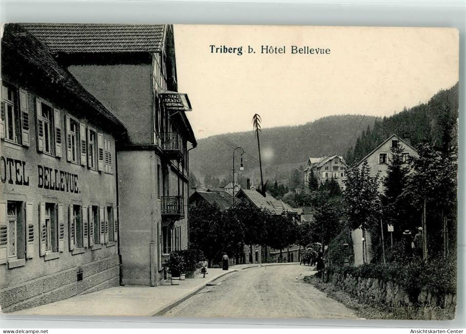13492202 - Triberg Im Schwarzwald - Triberg