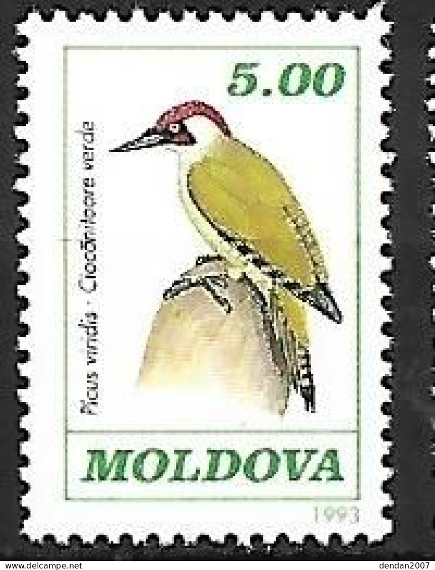 Moldova - MNH ** 1993 :   European Green Woodpecker  -  Picus Viridis - Pics & Grimpeurs