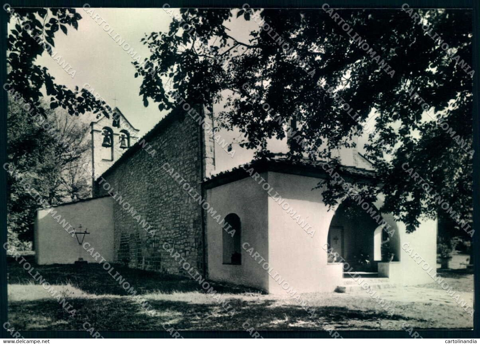 Arezzo Monteloro Pieve Di San Giovanni Battista Foto FG Cartolina JK0090 - Arezzo