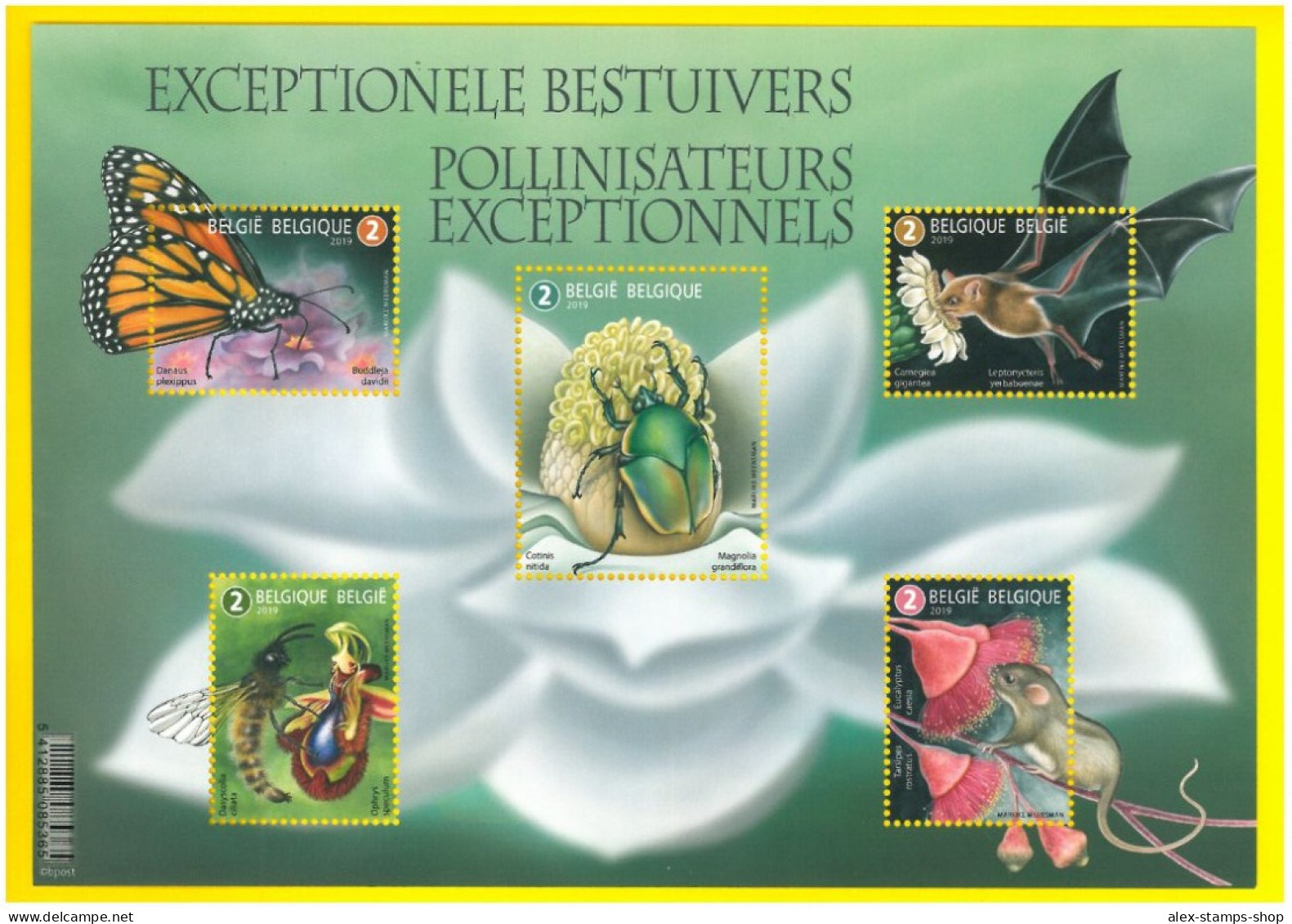 BELGIUM 2019 Exceptional Polinators - Miniature Sheet - FOGLIETTO BELGIO NUOVO - 2011-2020