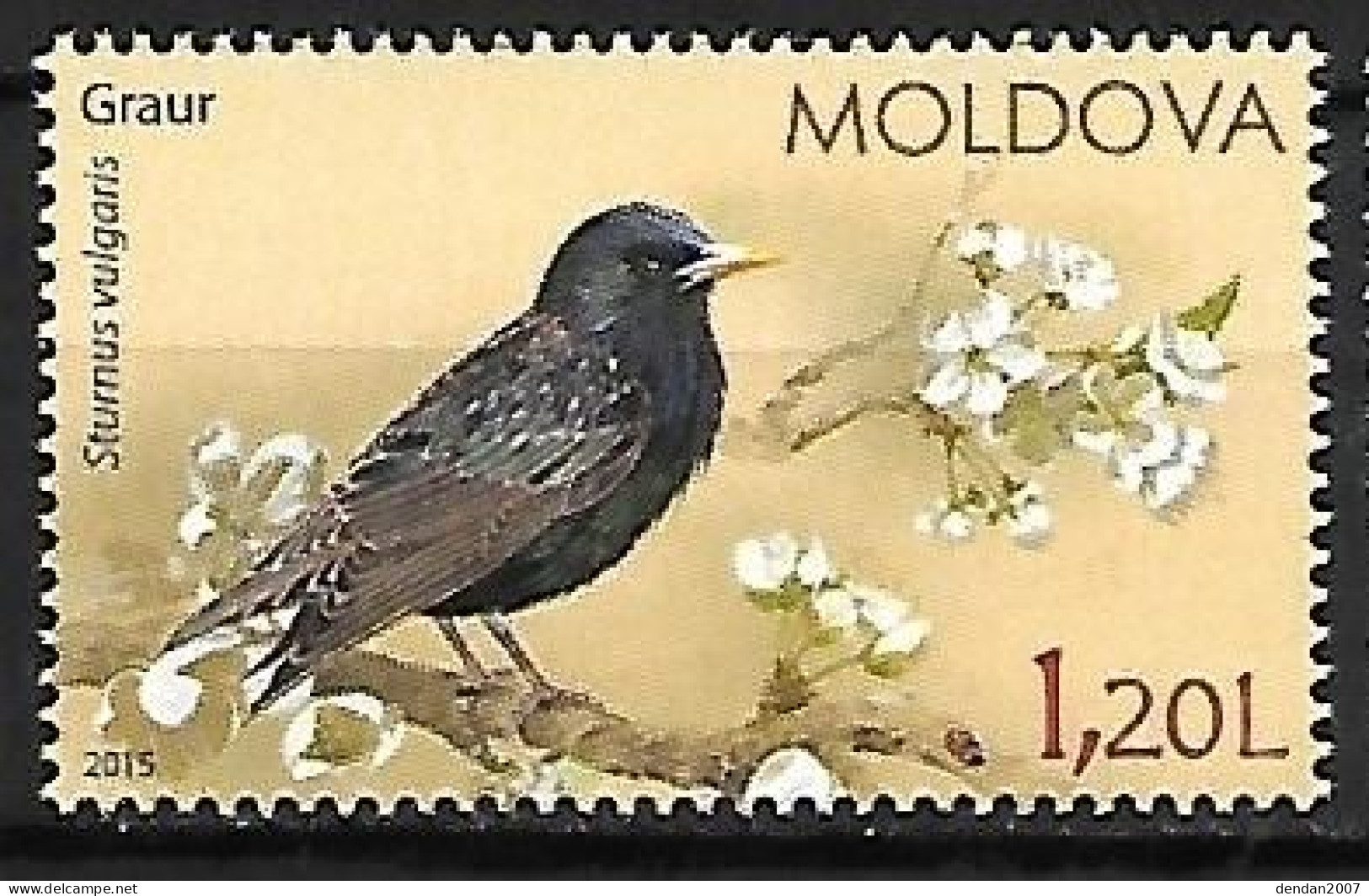 Moldova - MNH ** 2015 :   Common Starling  -  Sturnus Vulgaris - Sperlingsvögel & Singvögel