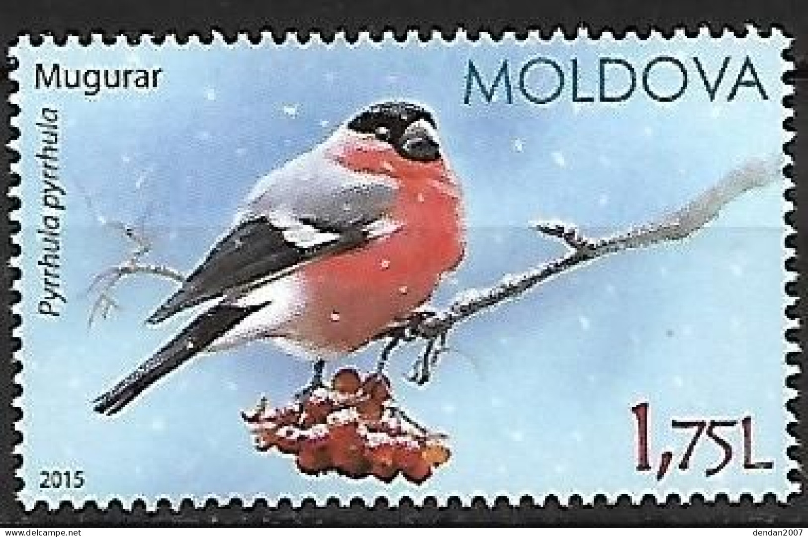 Moldova - MNH ** 2015 :    Eurasian Bullfinch  -  Pyrrhula Pyrrhula - Passereaux