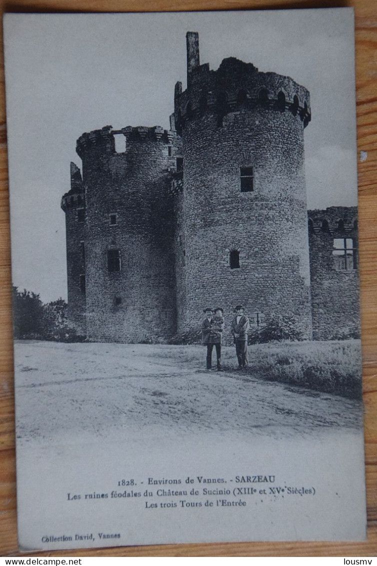 56 : Sarzeau - Les Ruines Féodales Du Château De Sucinio / Suscinio - Les Trois Tours De L'Entrée - Animée - (n°29008) - Sarzeau