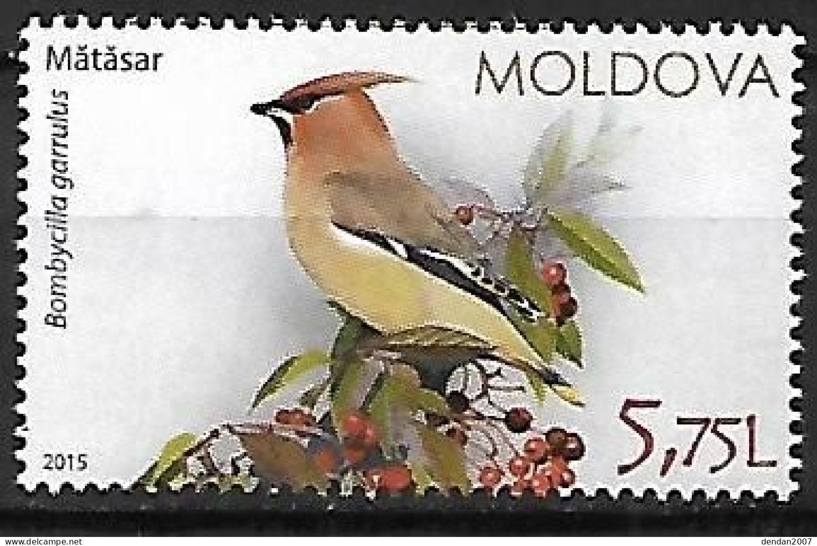 Moldova - MNH ** 2015 :  Bohemian Waxwing  -  Bombycilla Garrulus - Zangvogels