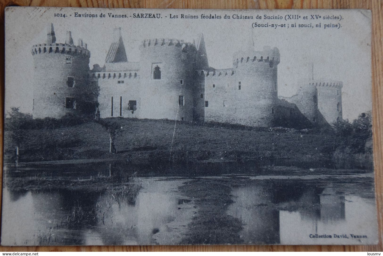 56 : Environs De Vannes - Sarzeau - Les Ruines Féodales Du Château De Sucinio / Suscinio - (n°29010) - Sarzeau