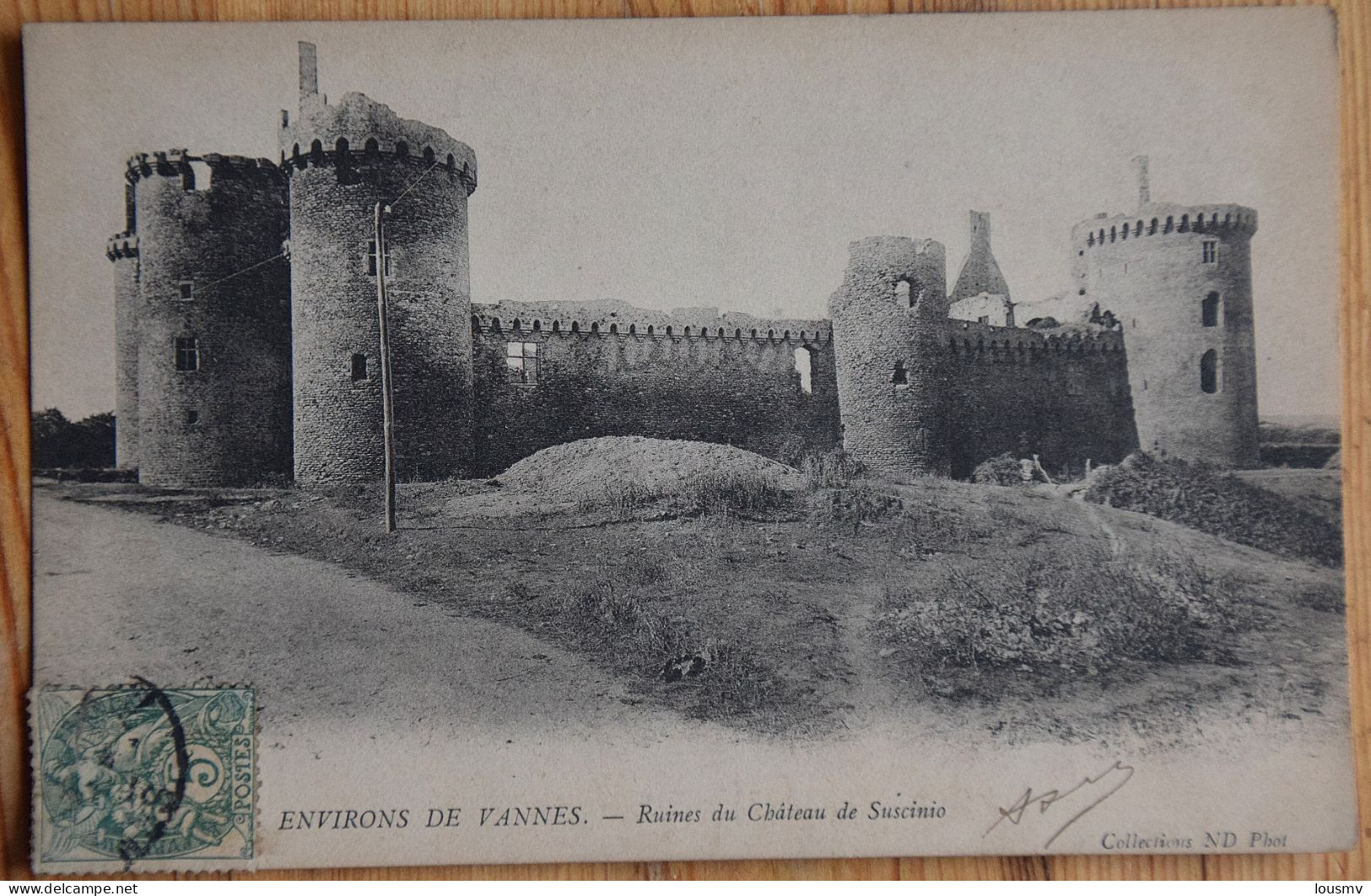 56 : Environs De Vannes - Sarzeau - Ruines Du Château De Suscinio - Traces De Points De Colle Au Dos (angles) - (n°29011 - Sarzeau