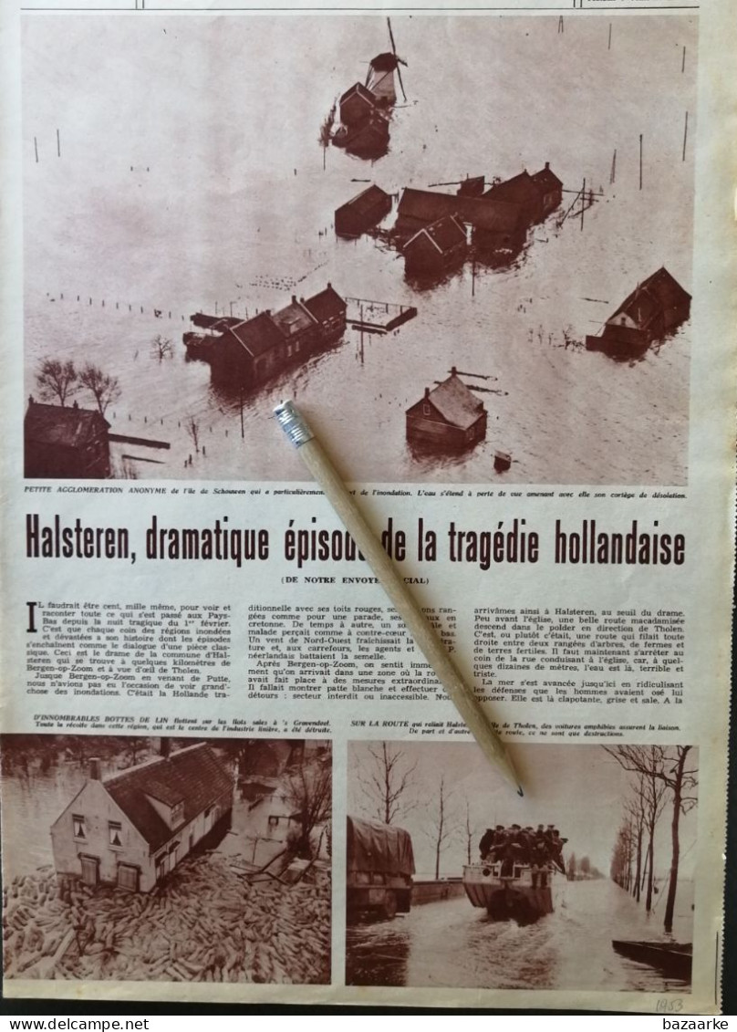 HALSTEREN 1953 /  DRAMATIQUE ÉPISODE DE LA TRAGÉDIE HOLLANDAISE / LA FAMILLE VAN TILBURG-LUYCKX DE HALSTEREN / THOLEN - Ohne Zuordnung