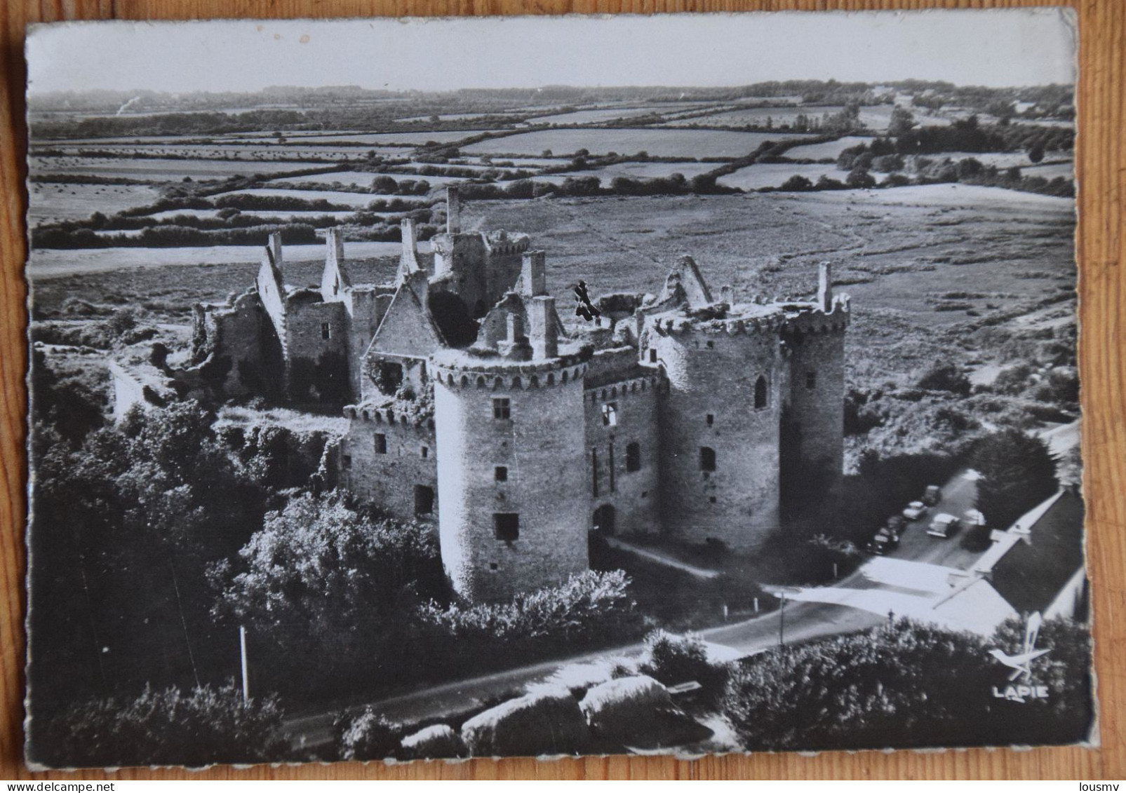 56 : En Avion Au-dessus De ... Le Château De Suscinio - Sarzeau - Vue Aérienne - CPSM Format CPM - (n°29013) - Sarzeau