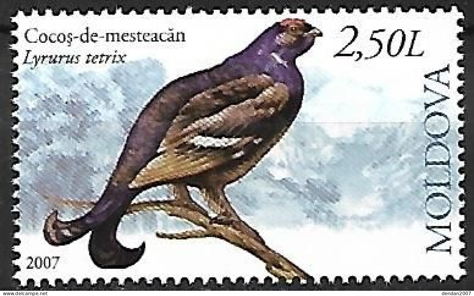 Moldova - MNH ** 2007  :    Black Grouse  -  Lyrurus Tetrix - Gallinacées & Faisans
