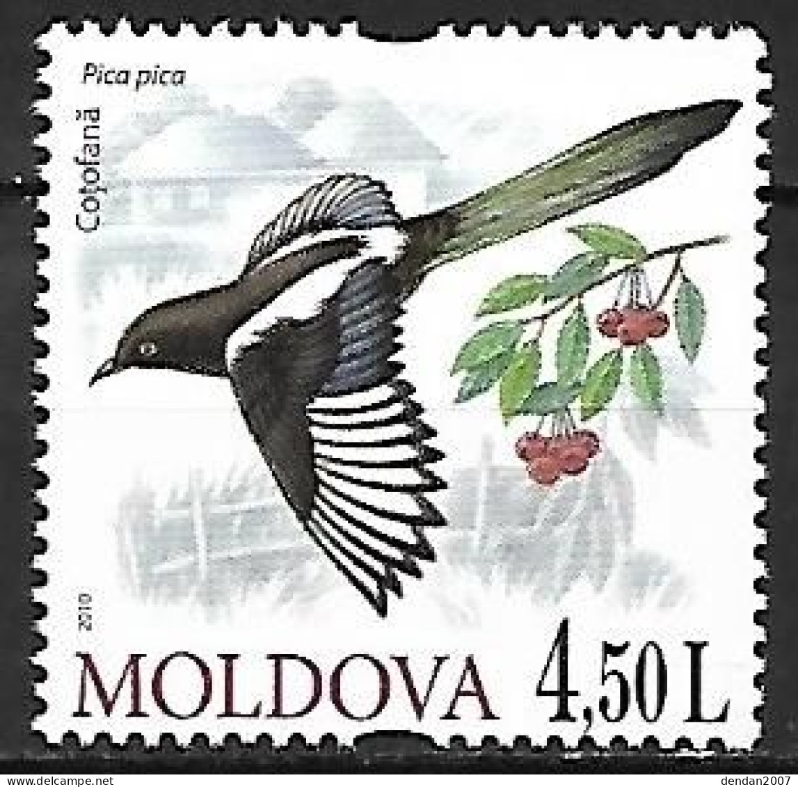 Moldova - MNH ** 2010  :    Eurasian Magpie  -  Pica Pica - Uccelli Canterini Ed Arboricoli