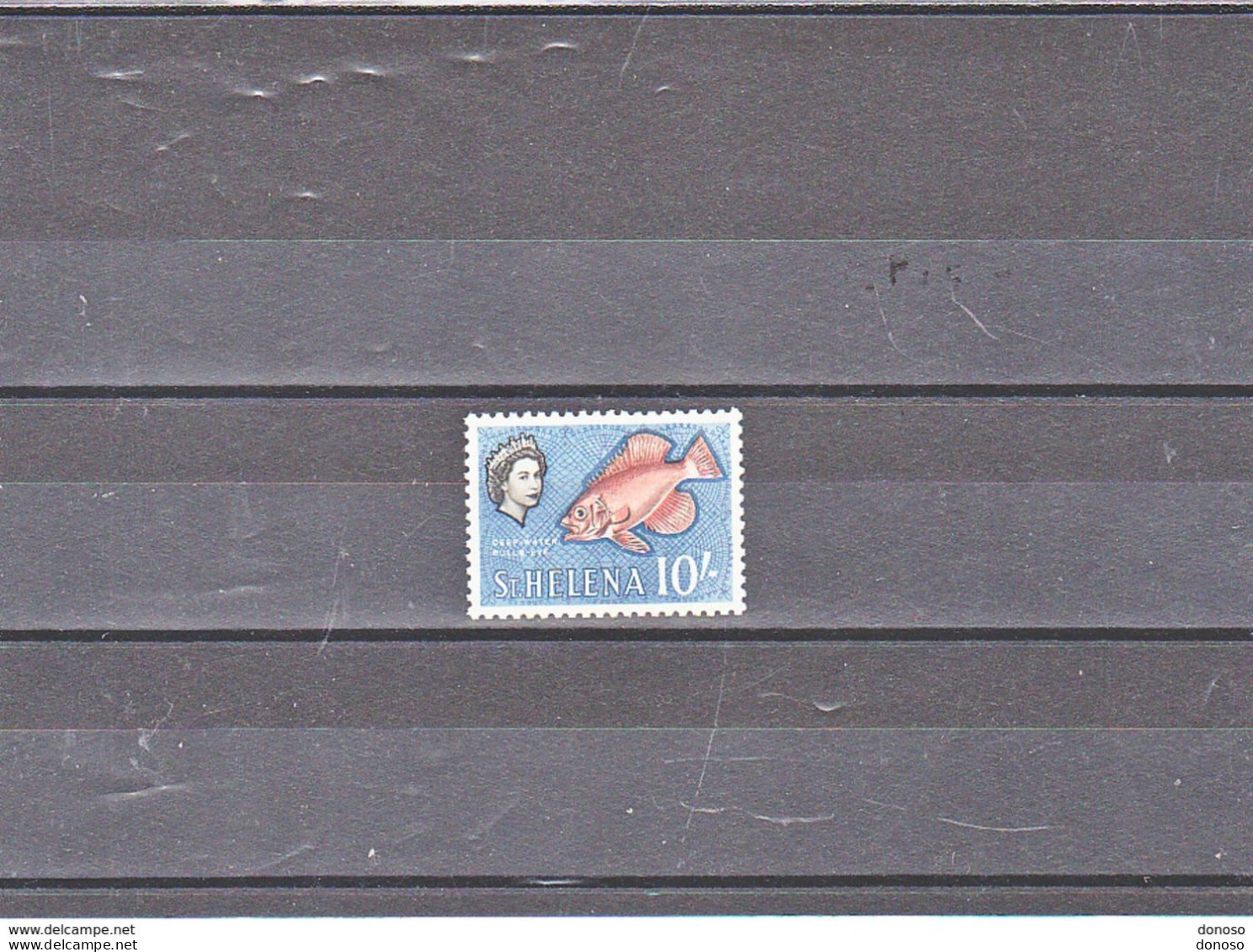 SAINTE HELENE 1961 POISSON Yvert 153, Michel 158 NEUF* MH Cote : 25 Euros - St. Helena