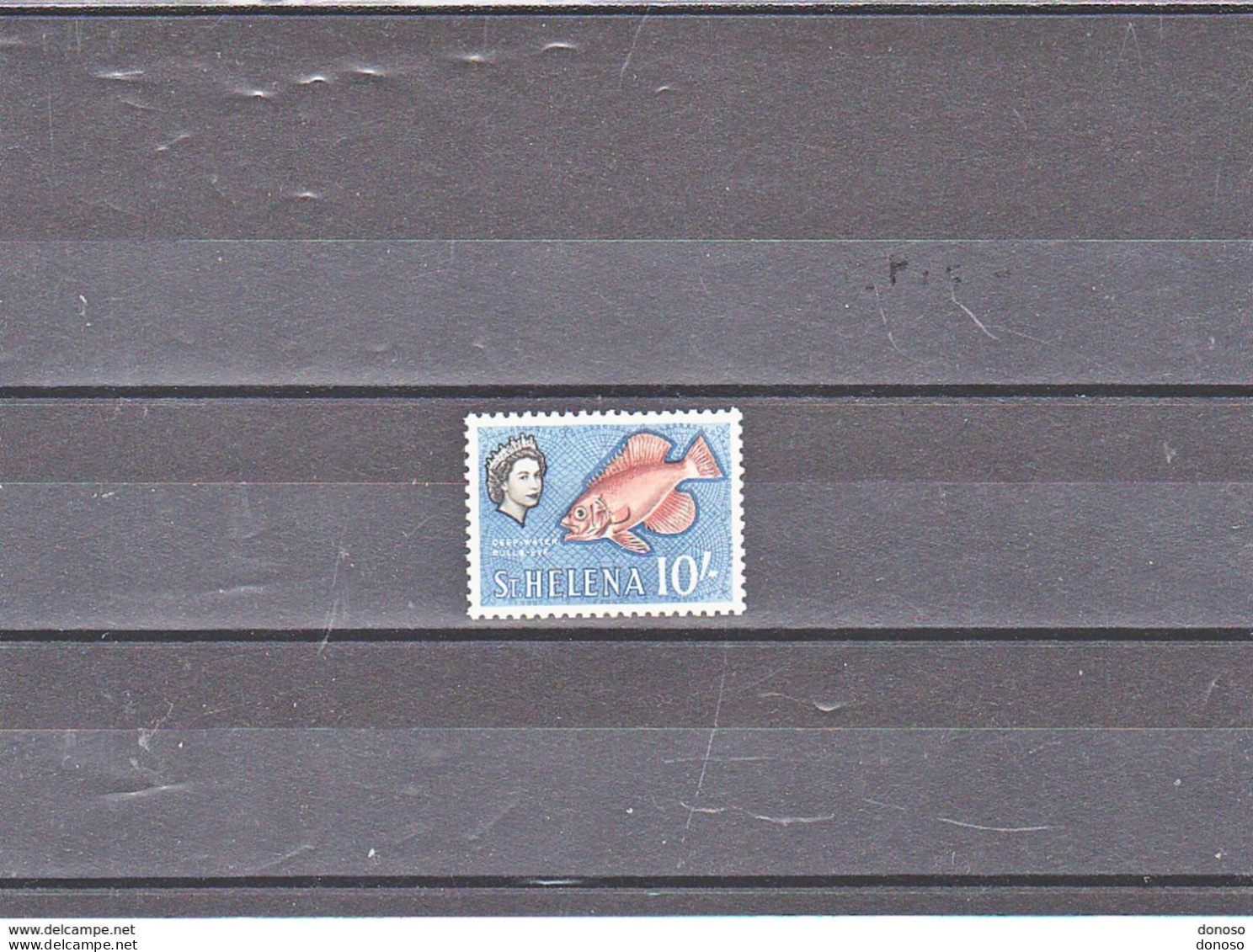 SAINTE HELENE 1961 POISSON Yvert 153, Michel 158 NEUF* MH Cote : 25 Euros - Saint Helena Island
