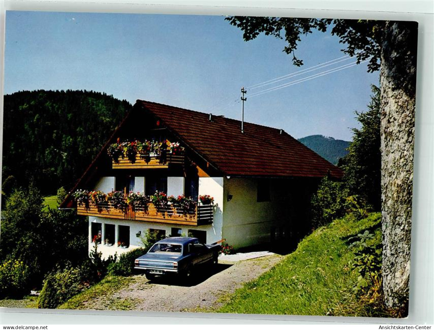 39522702 - Menzenschwand - St. Blasien