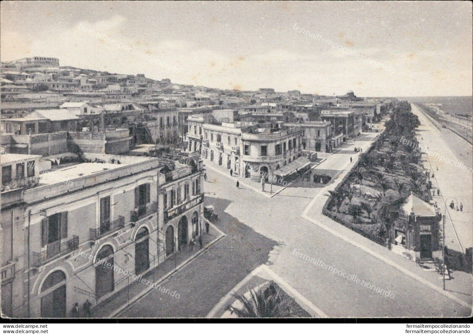 Ao509 Cartolina Reggio Calabria Panorama E Via Marina Rifilata - Reggio Calabria