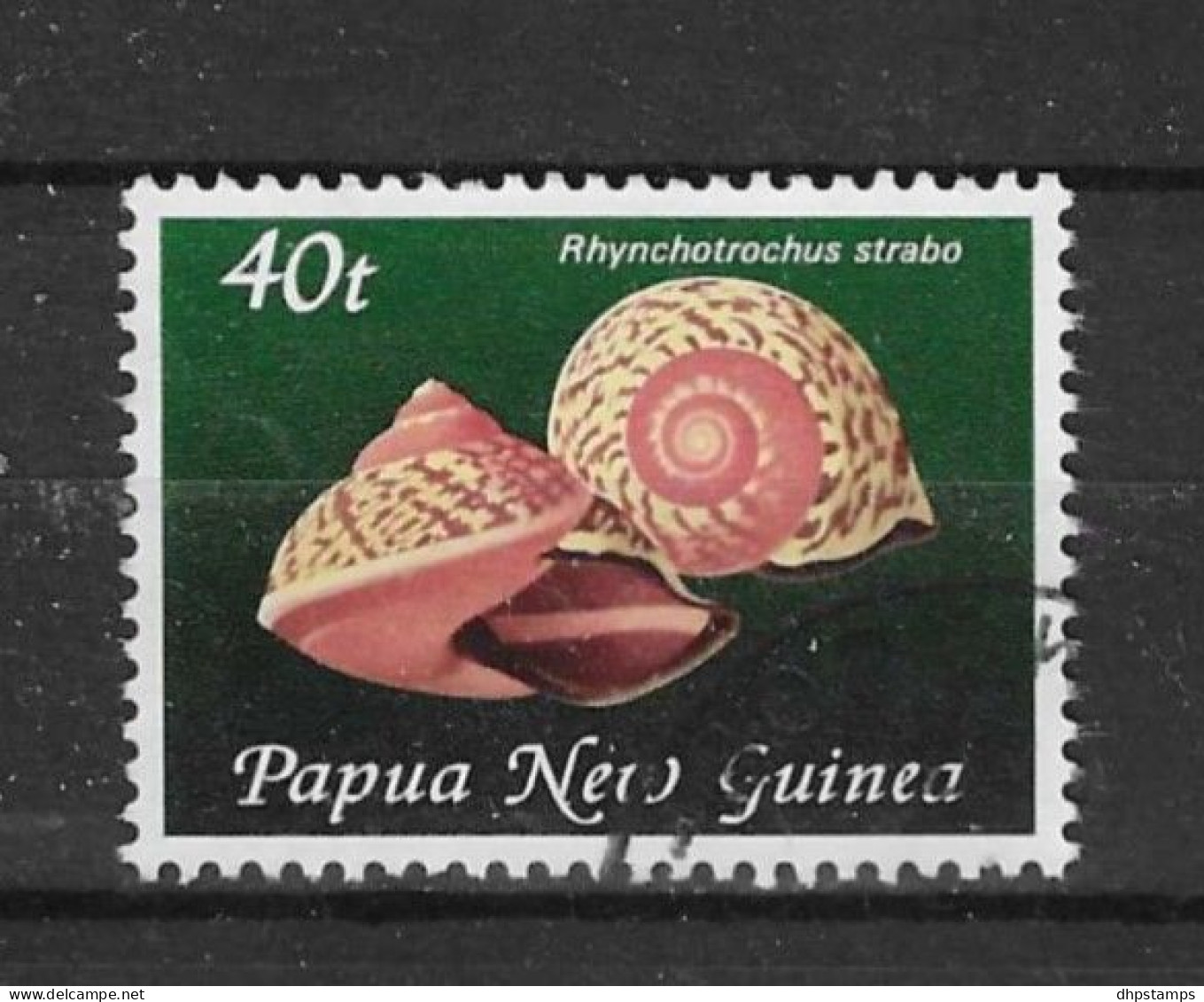 Papua N. Guinea 1981 Shells Y.T. 425 (0) - Papúa Nueva Guinea