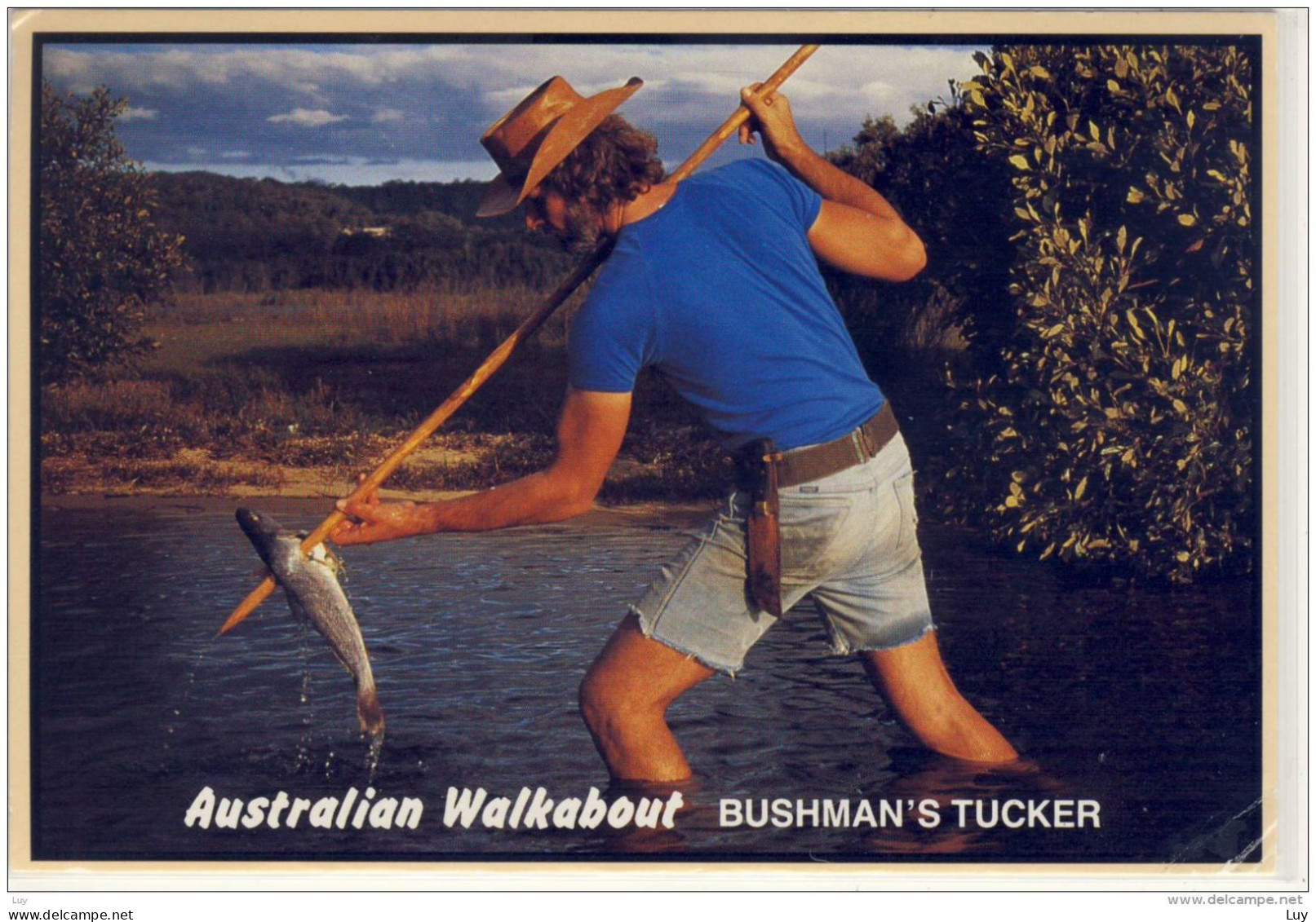 AUSTRALIAN WALKABOUT - Bushman's Tucker,  Nice Stamp Rock Wallaby - Aborigines