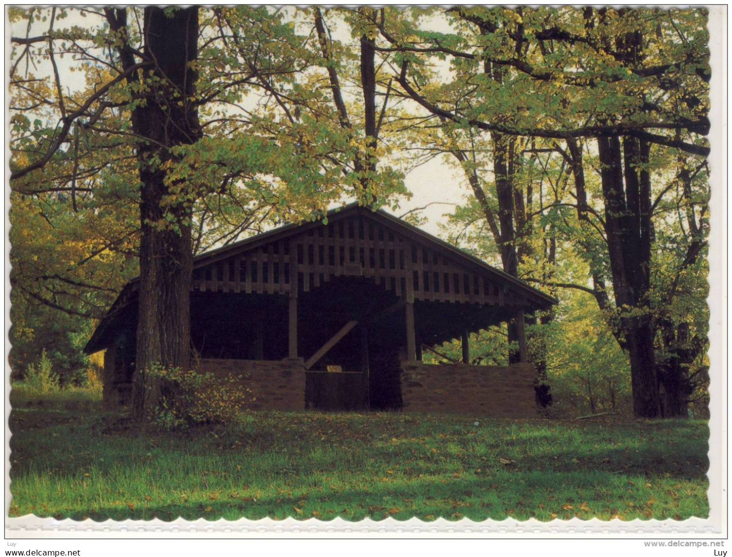 BRIGHT; Victoria,view Of The Shelter Hut At Sports Ground , Nice Stamp - Autres & Non Classés