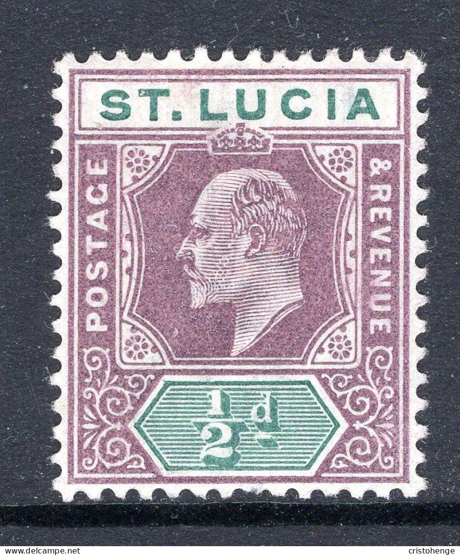 St Lucia 1902-03 KEVII - Wmk. Crown CA - ½d Dull Purple & Green HM (SG 58) - Ste Lucie (...-1978)