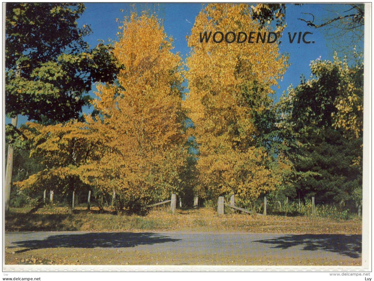 WOODEND, Victoria - Autumn Splendour,  Rose Series Colorview , ... Nice Stamp - Other & Unclassified