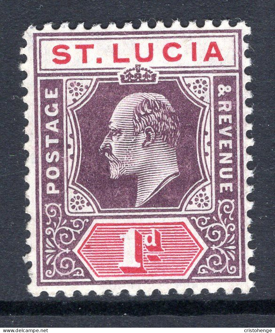 St Lucia 1904-10 KEVII - Wmk. Multiple Crown CA - 1d Dull Purple & Carmine HM (SG 66) - St.Lucia (...-1978)