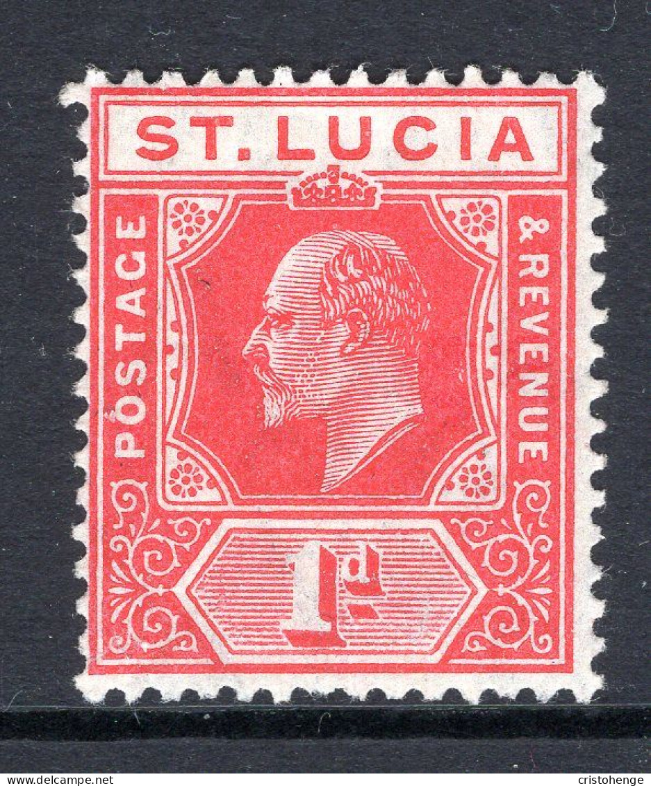 St Lucia 1904-10 KEVII - Wmk. Multiple Crown CA - 1d Carmine HM (SG 67) - Ste Lucie (...-1978)