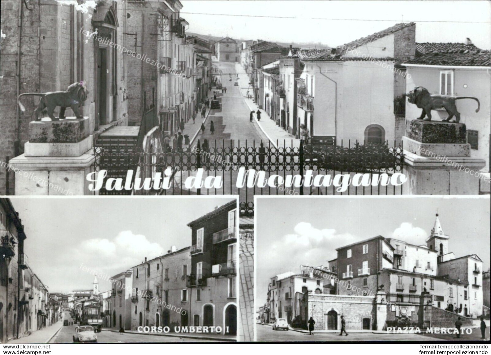 Ar70 Cartolina Saluti Da Montagano Provincia Di Campobasso - Campobasso