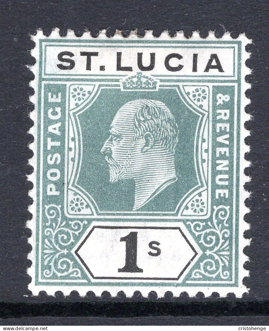 St Lucia 1904-10 KEVII - Wmk. Multiple Crown CA - 1/- Green & Black HM (SG 73) - St.Lucia (...-1978)