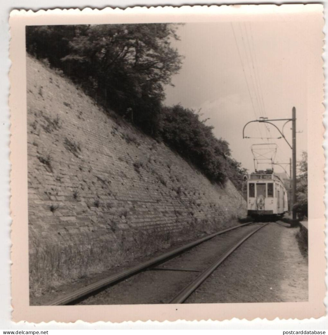 Tram - Petit Wasmes 1960 - Photo - & Tram - Eisenbahnen