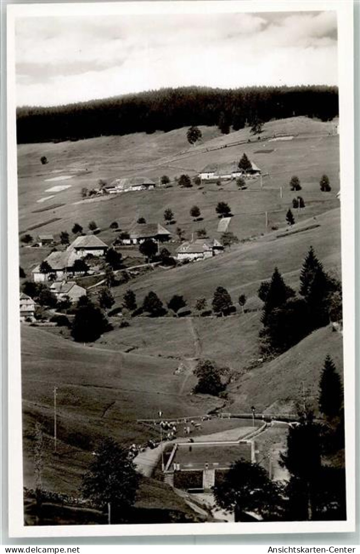 10705202 - Todtnauberg - Todtnau