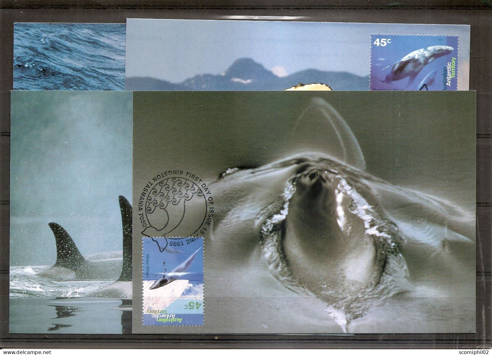 AAT - Baleines (  4 CM De 1995 à Voir) - Tarjetas – Máxima