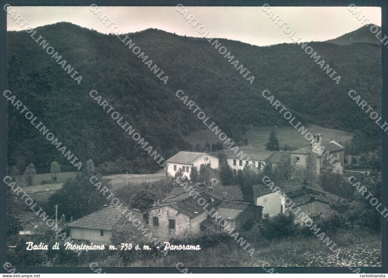 Potenza Badia Di Montepiano Foto FG Cartolina JK1549 - Potenza