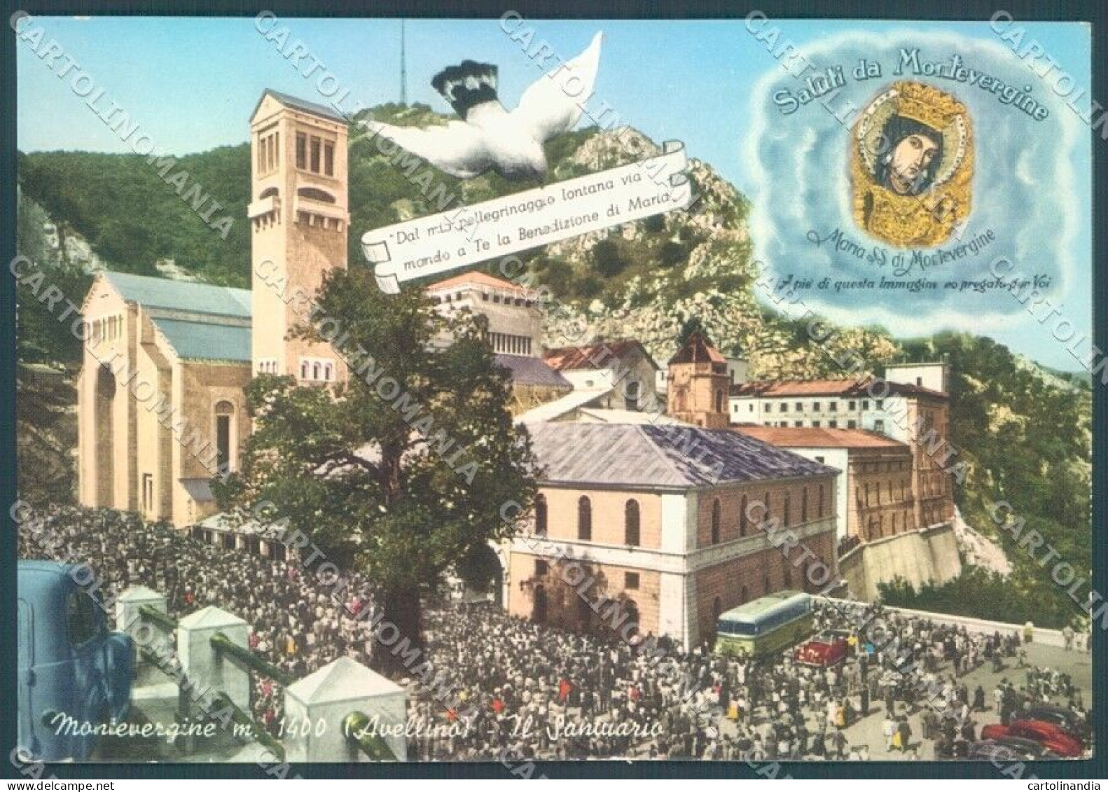 Avellino Montevergine Santuario Saluti Da Foto FG Cartolina JK1534 - Avellino