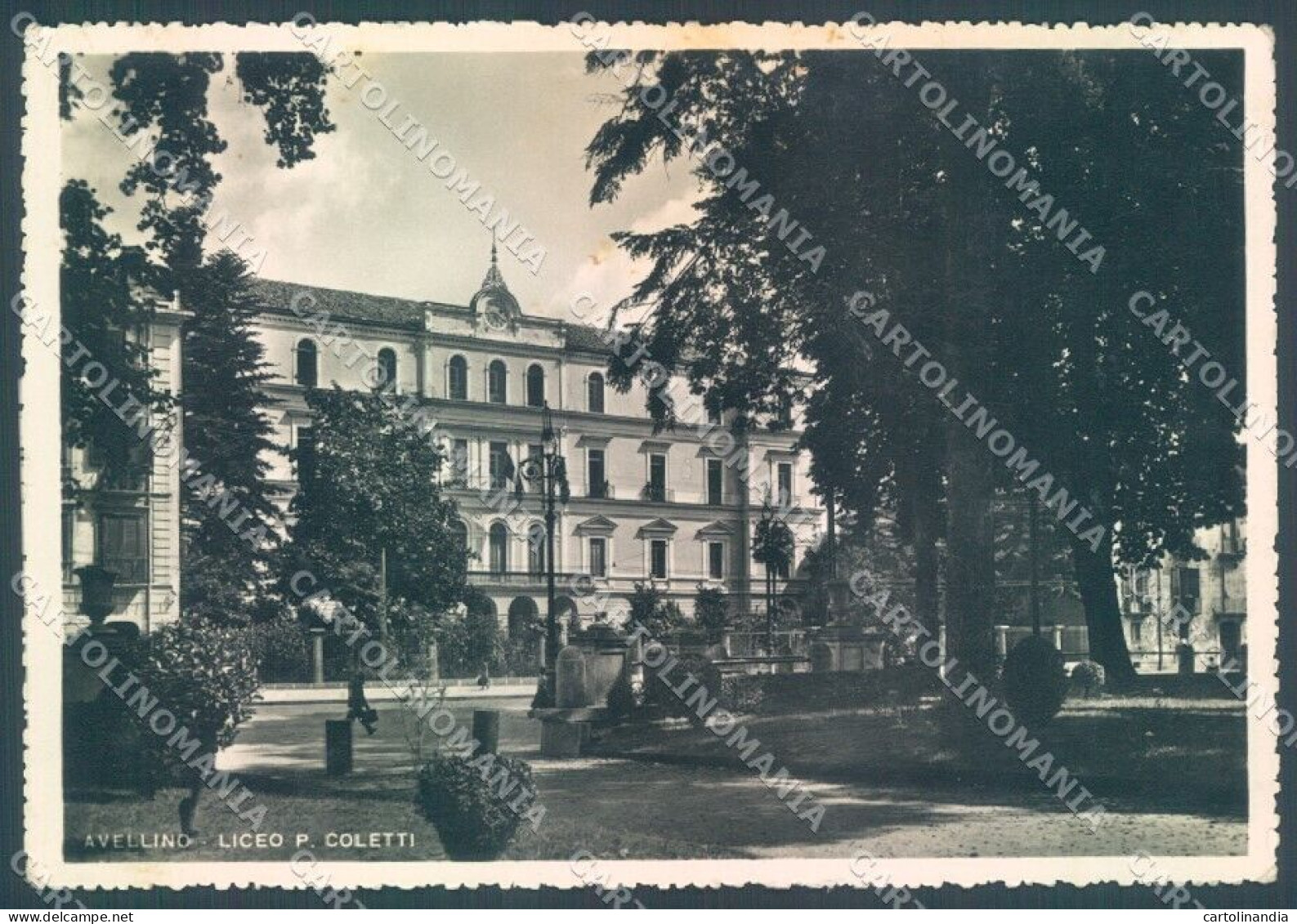 Avellino Città Liceo Coletti Foto FG Cartolina JK1517 - Avellino