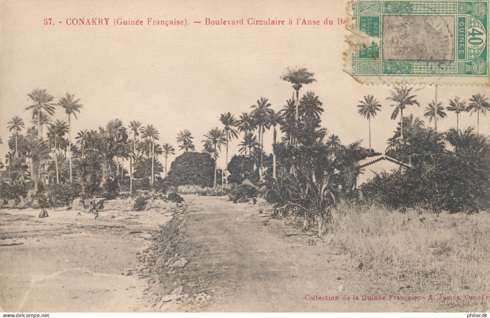 GUINEE - N° 73 OBLITERE SUR CARTE POSTALE CONAKRY BOULEVARD CIRCULAIRE A L ANSE POUR REIMS - Briefe U. Dokumente