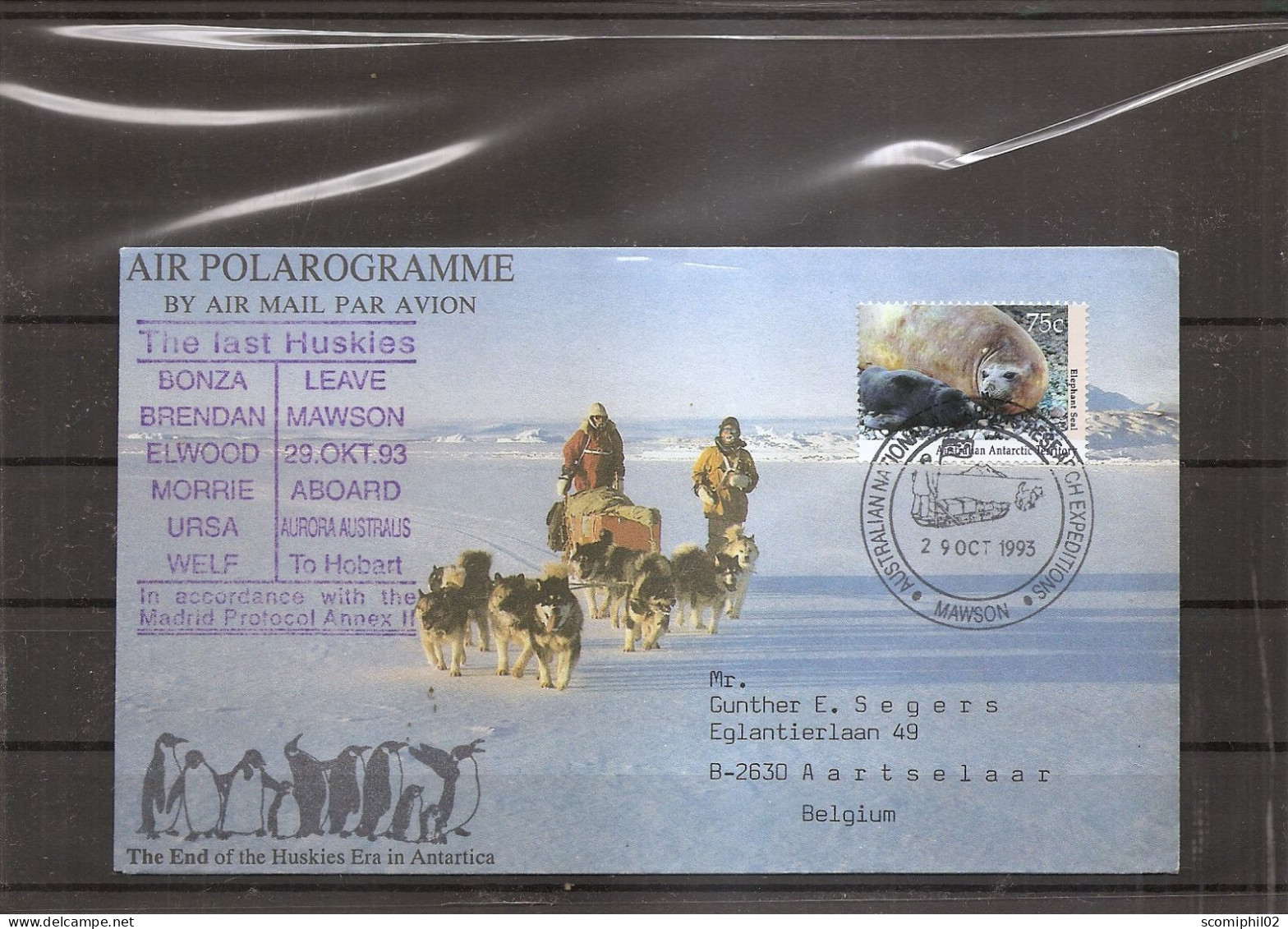 AAT ( Air Polargramme De 1993 De Mawson Vers La Belgique à Voir) - Covers & Documents