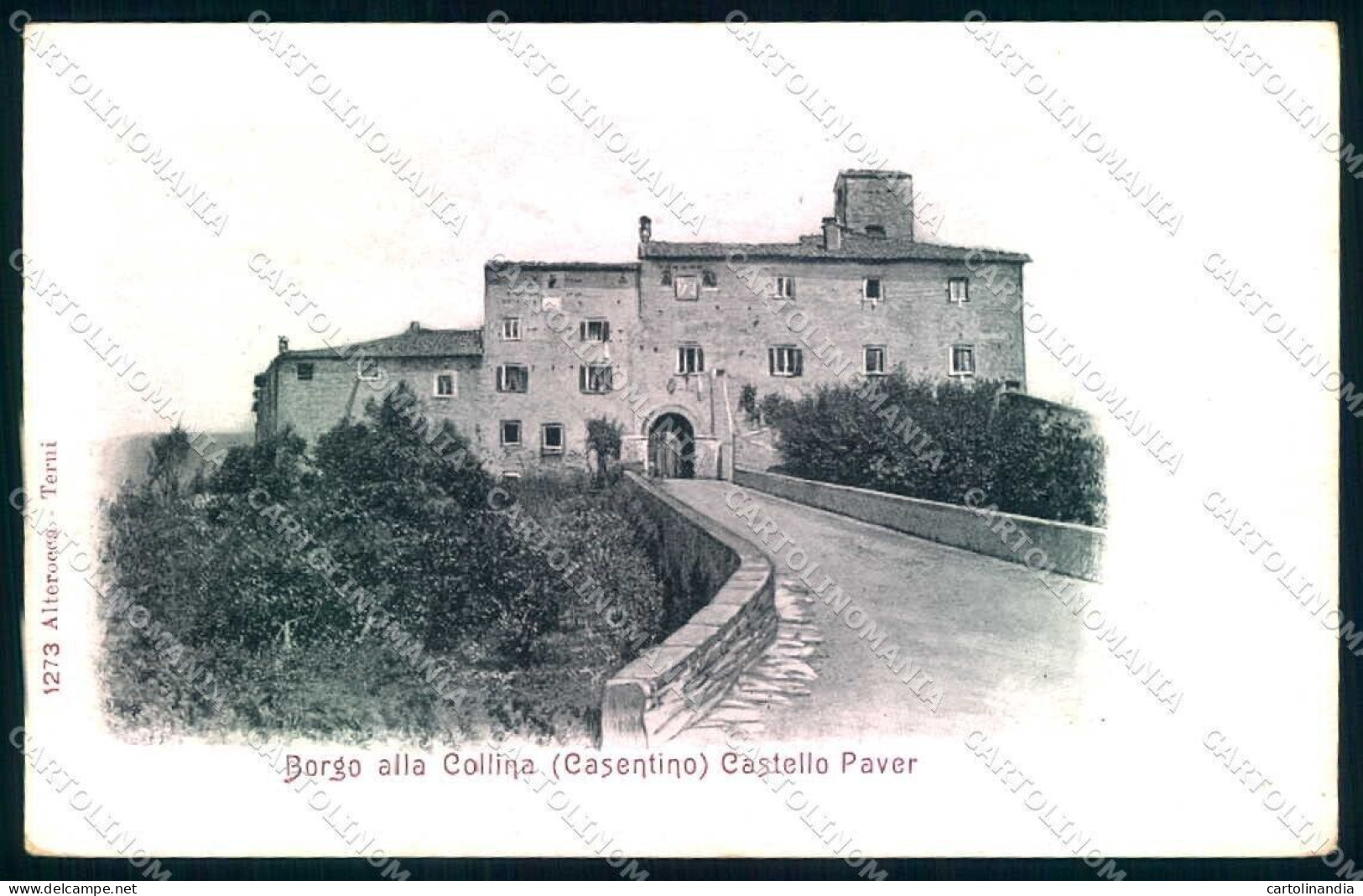 Arezzo Castel S. Niccolò Borgo Collina Alterocca 1273 Cartolina JK0635 - Arezzo