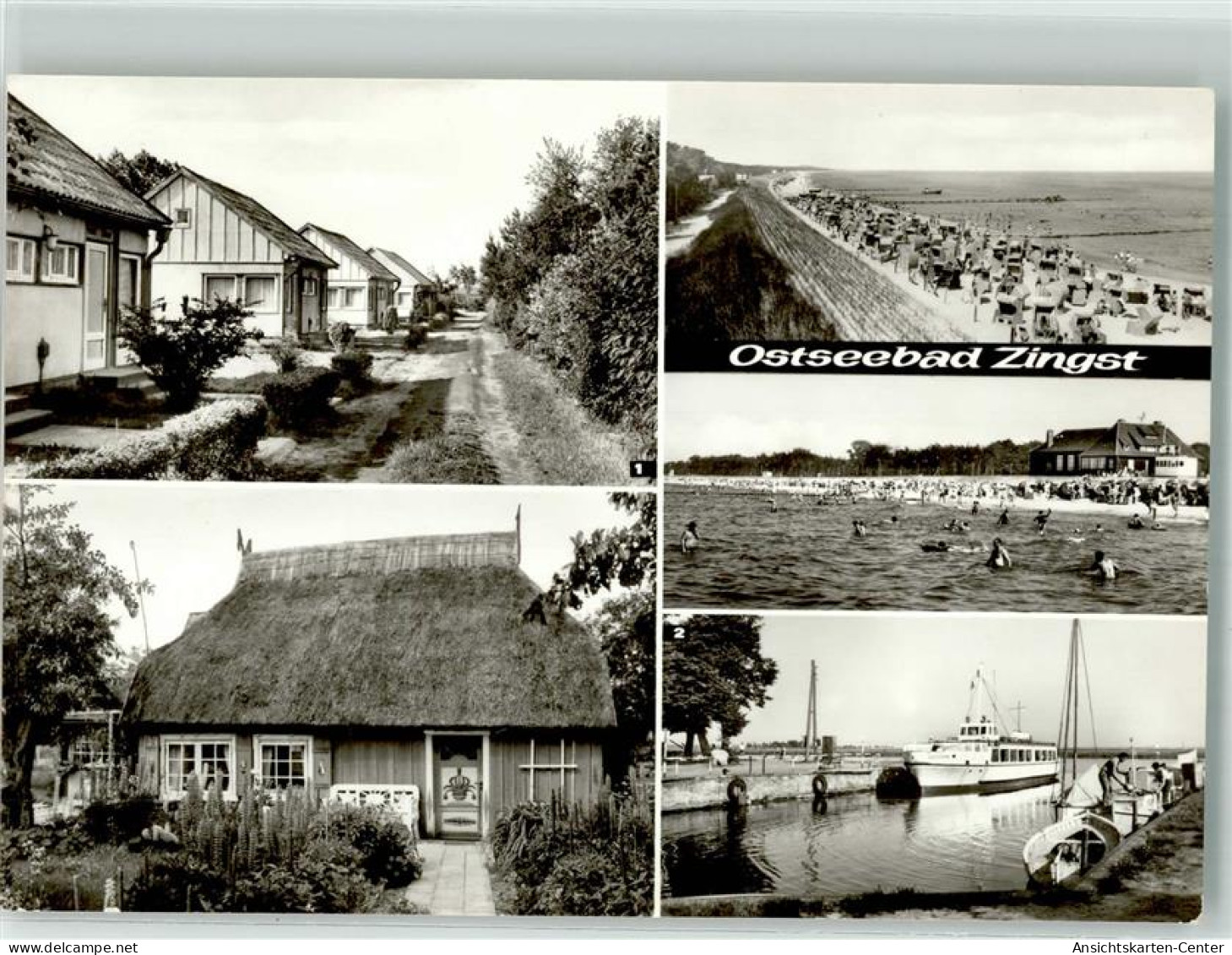 39954302 - Zingst , Ostseebad - Zingst