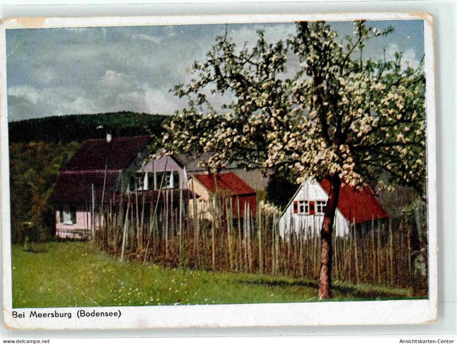 51815002 - Meersburg , Bodensee - Meersburg