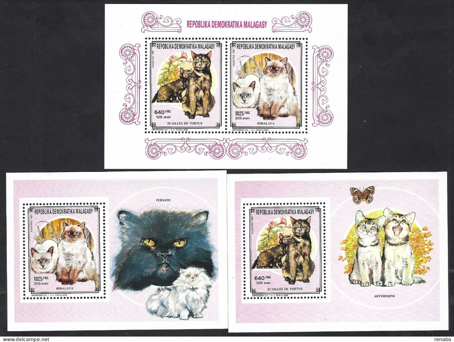 Rep. Malagasy 1991: S/s Himalayan With Persian + Tortoiseshell With Abyssinian And Butterfly + S/s Luxe With The 2 CATS - Gatos Domésticos