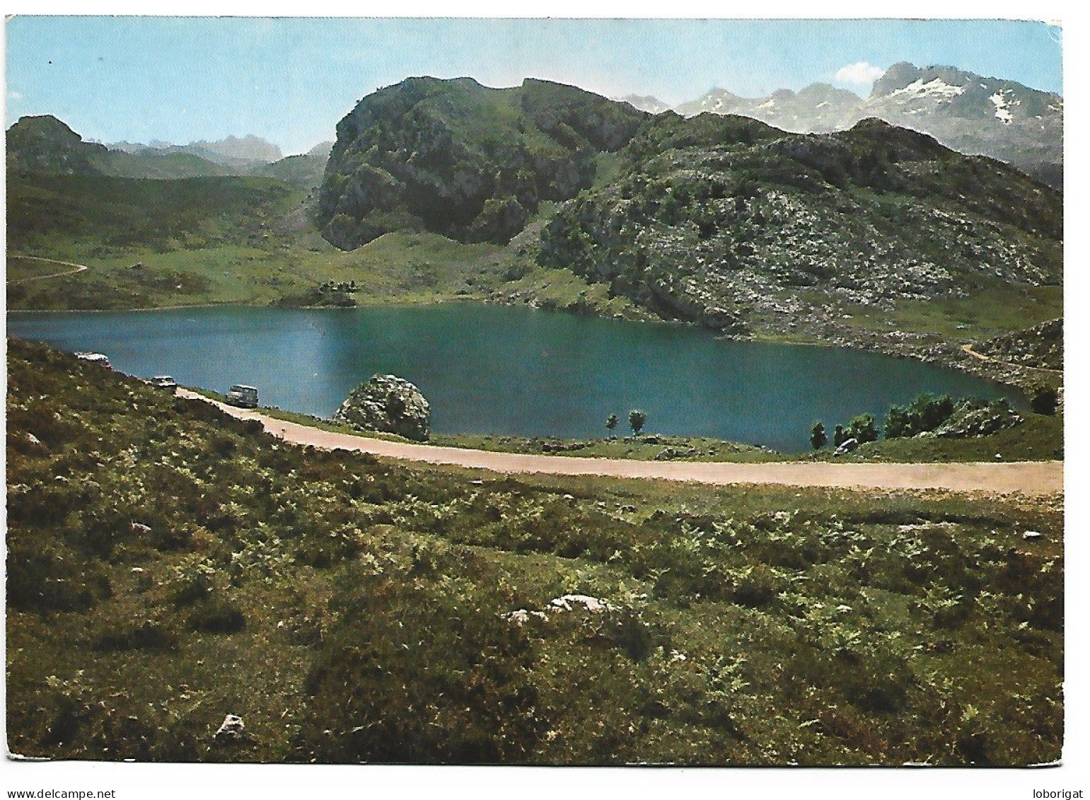 LAGO ENOL, AL FONDO MACIZO DE PEÑA SANTA 2600m. / LAC ENOL / LAKE ENOL.- COVADONGA - ASTURIAS .- ( ESPAÑA) - Asturias (Oviedo)